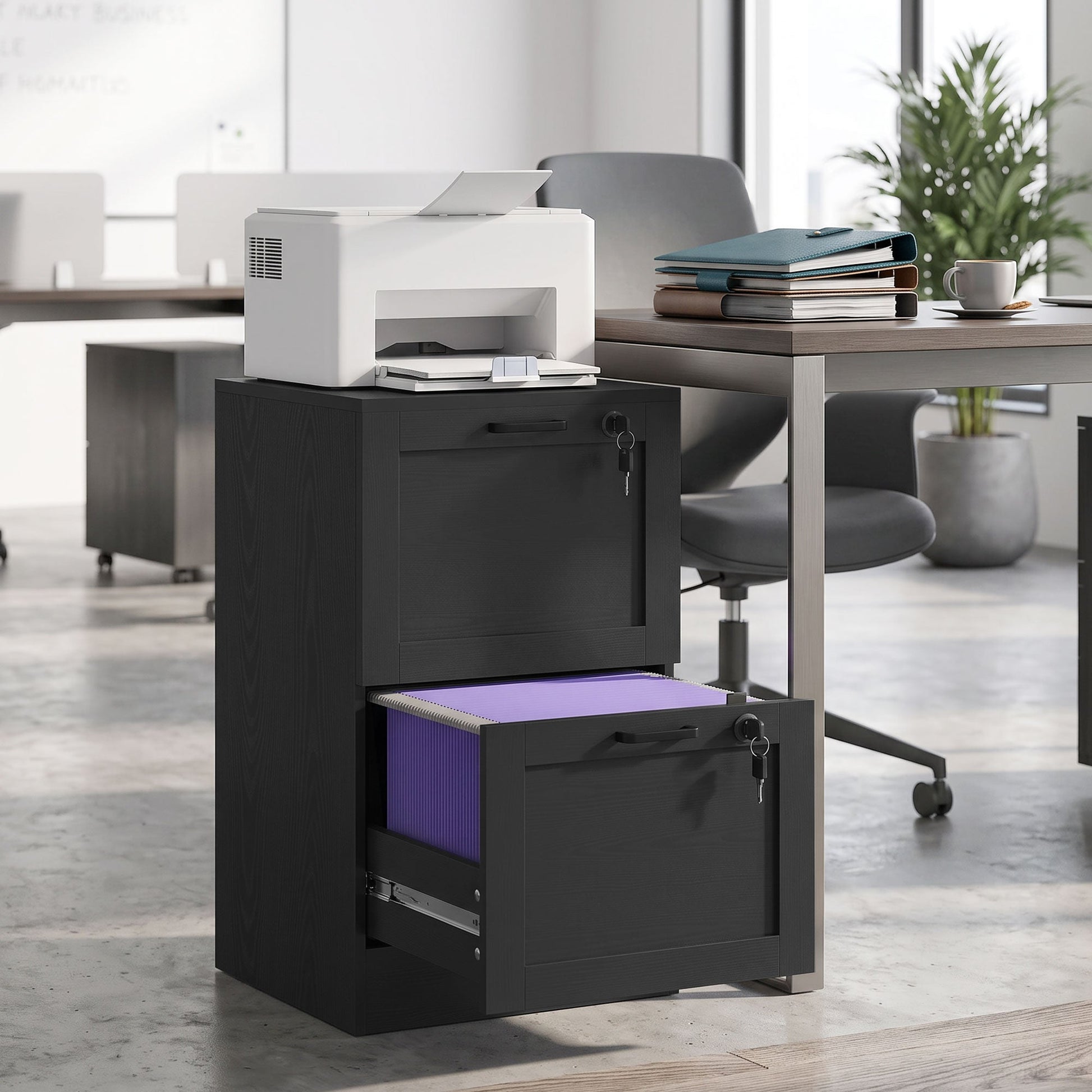 2 Drawer File Cabinet with Lock, Vertical Filing Cabinet with Adjustable Hanging Bars for A4 and Letter Size File Folders, Printer Stand with Storage, Black Wood Effect