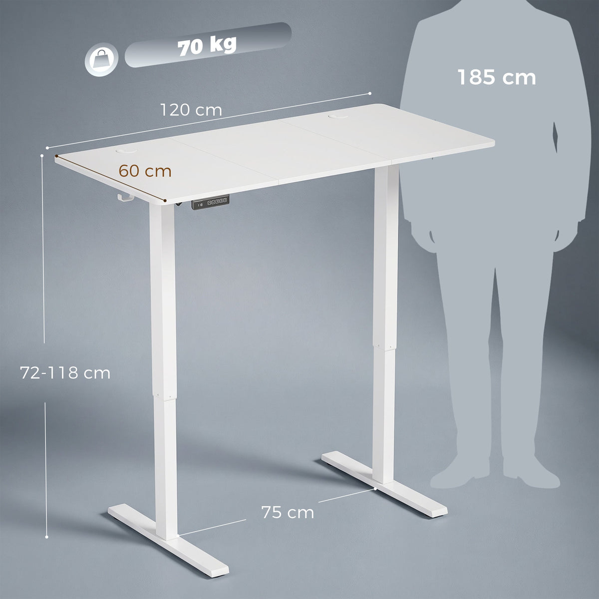 Electric Standing Desk Height Adjustable 120 x 60cm, Sit Stand Desk with 3 Memory Presets, Quiet Home Office Computer Desk with LED Display, Cable Holes & Hooks for Bedroom, Home Office, White